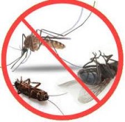 Купить средства защиты против бытовых насекомых в Украине